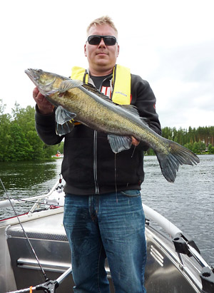 Walleye fishing trips on Lake Saimaa from the Cottage Jokiniemi